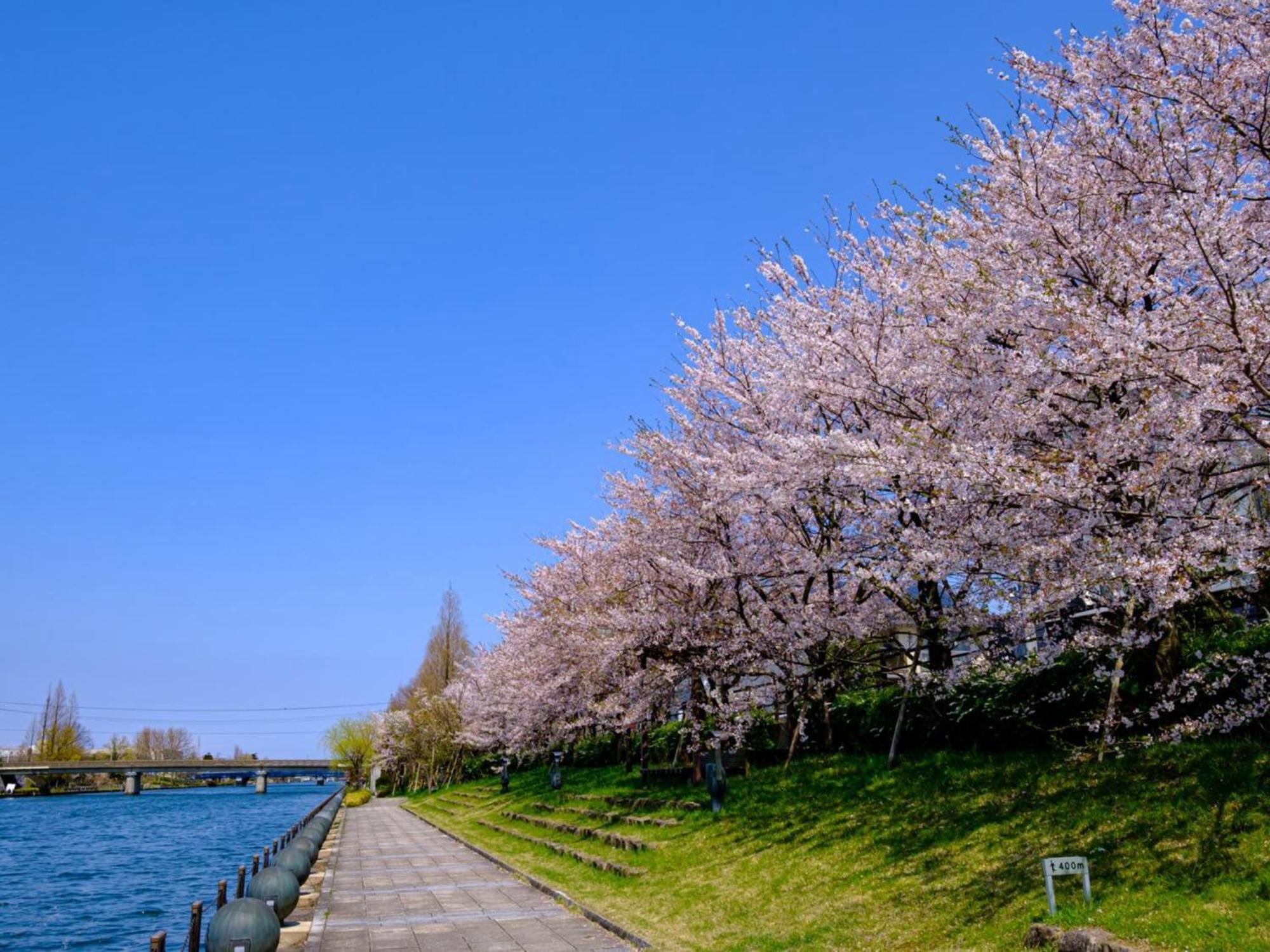 Hotel Morinokaze Tateyama‎ Toyama Station Dış mekan fotoğraf